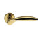 Дверная ручка Colombo Design DB 31 Wing HPS титан золото с накладками под прорезь