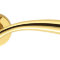 Дверная ручка Colombo Design Edo MH11 полированная латунь